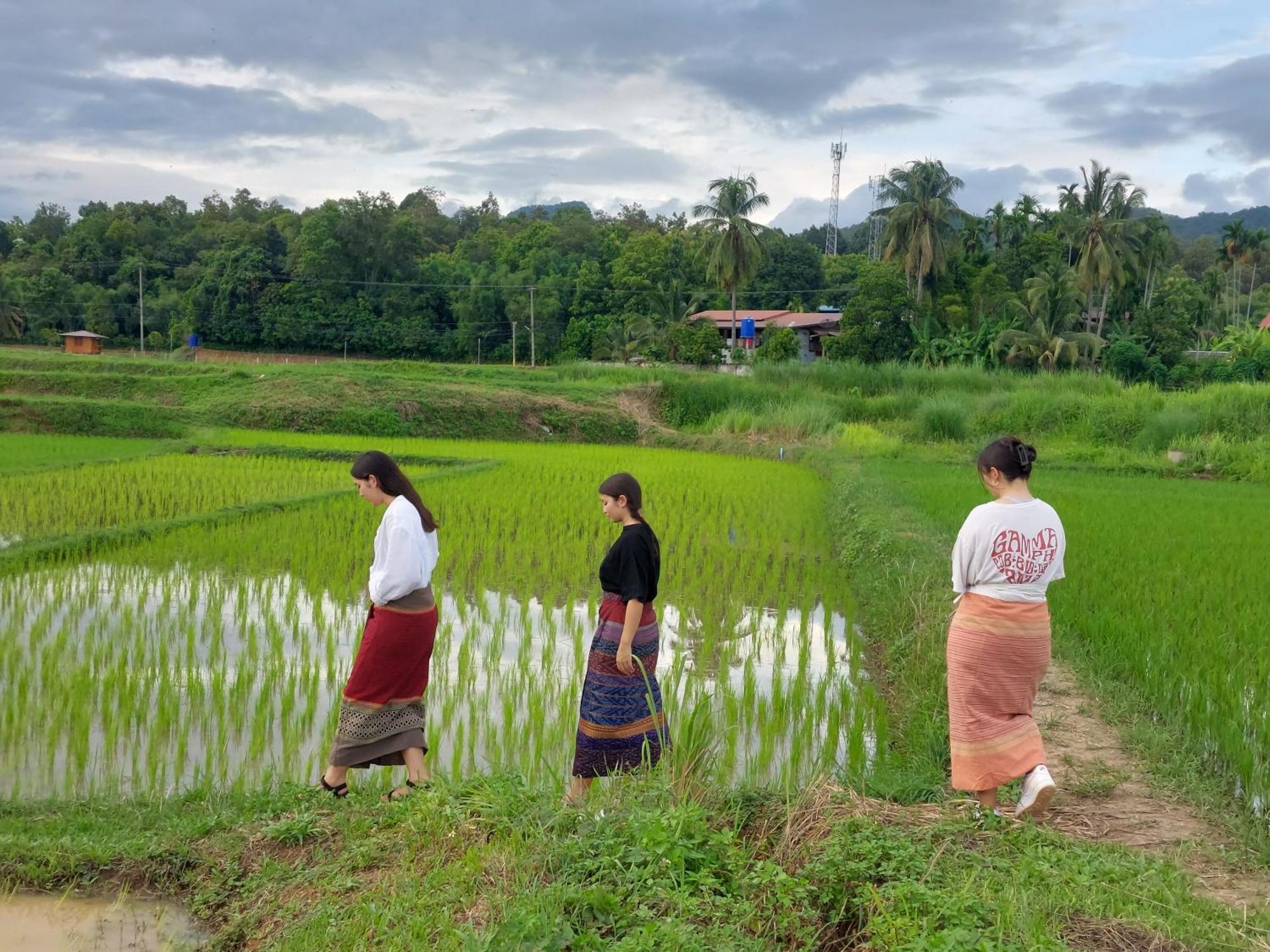 Ban Suan Nai Fun Homestay Pua Exterior foto